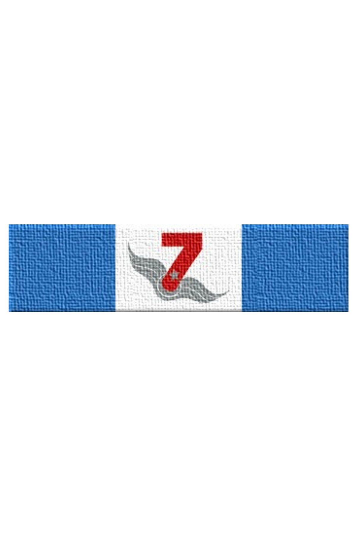 Hava Kuvvetleri ESYE Ehliyet Seviyesi Yukseltme Egitimi Serit Rozet