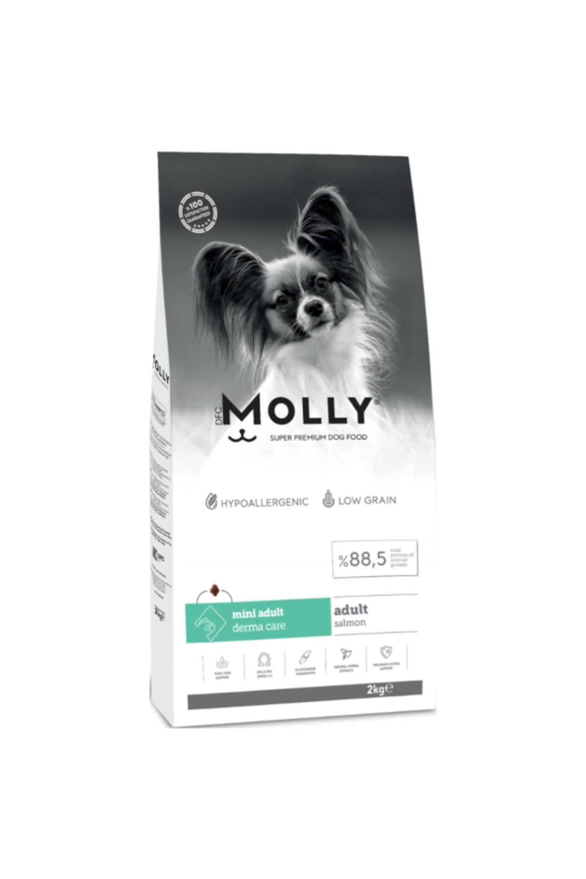Hipoalerjenik Somonlu Küçük Irk Yetişkin Köpek Maması 2kg