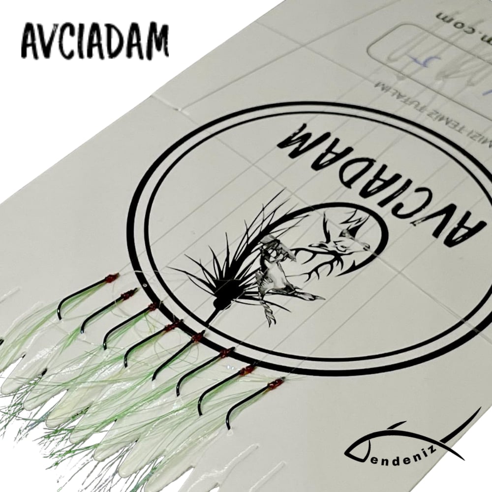 İstavrit Çapari Acık Yeşil (Kıyı)