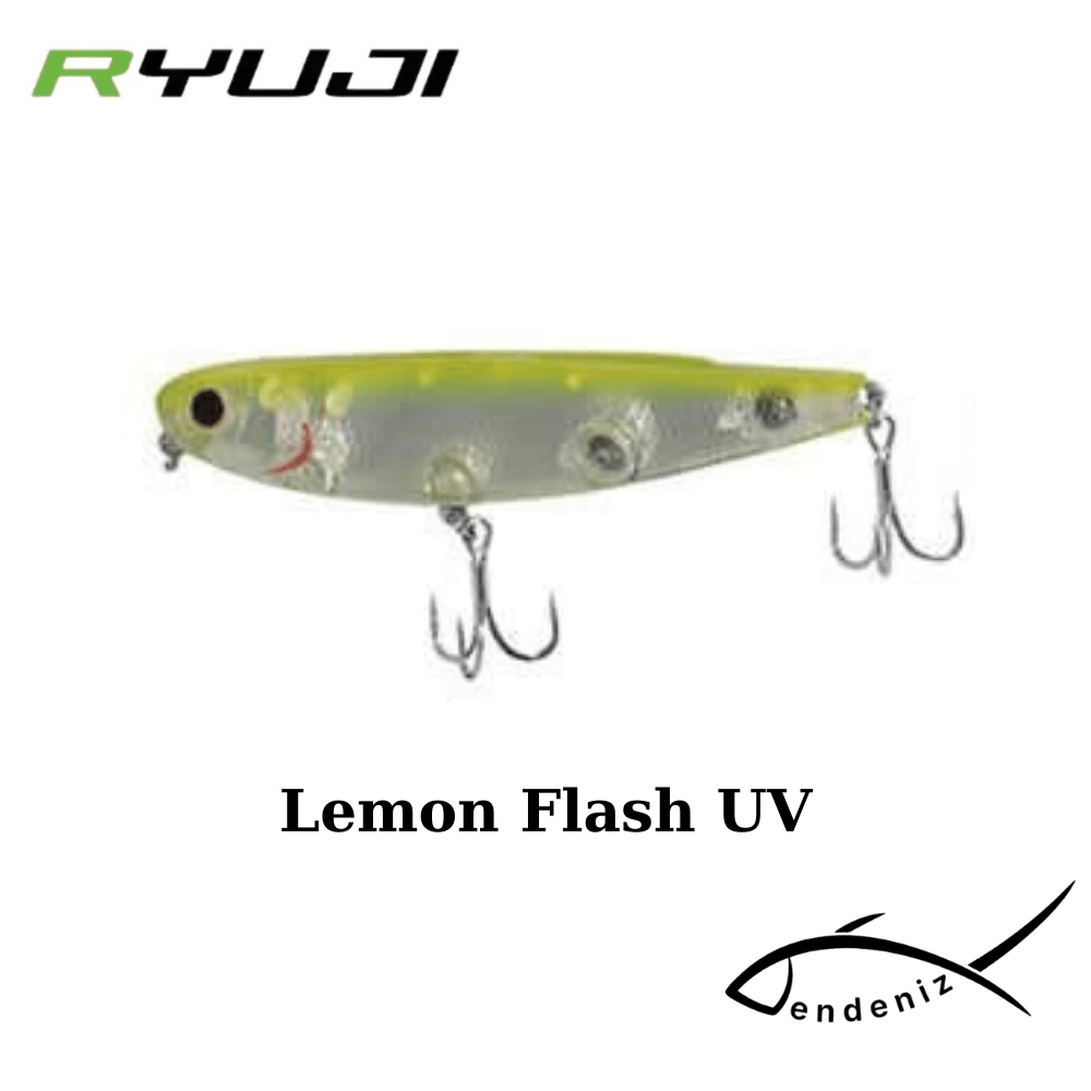 Ryuji Crazy Dog 9.5cm 15gr Su Üstü Maket Yem