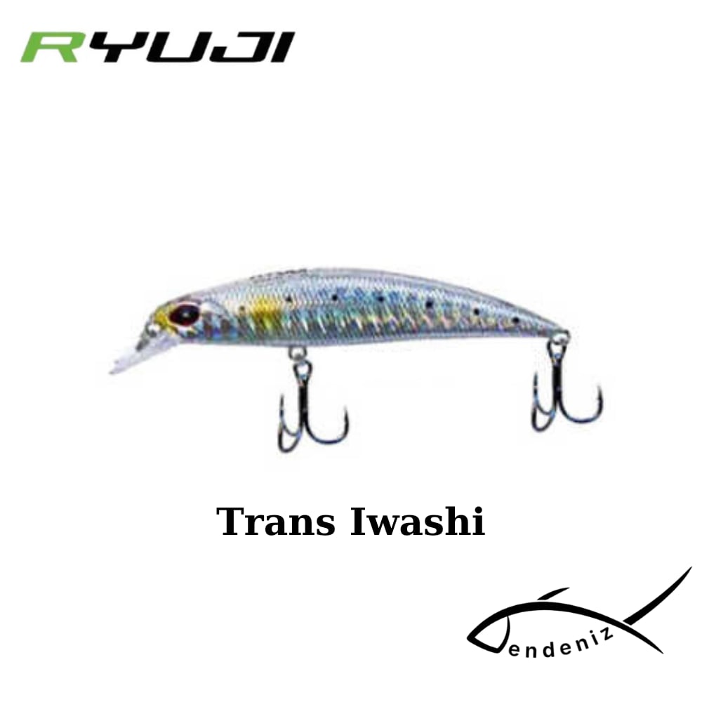Ryuji S 70 7cm 9gr Sinking Maket Yem