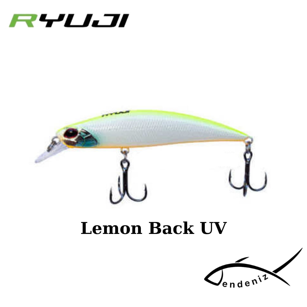 Ryuji S 70 7cm 9gr Sinking Maket Yem