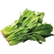 ISPANAK KG