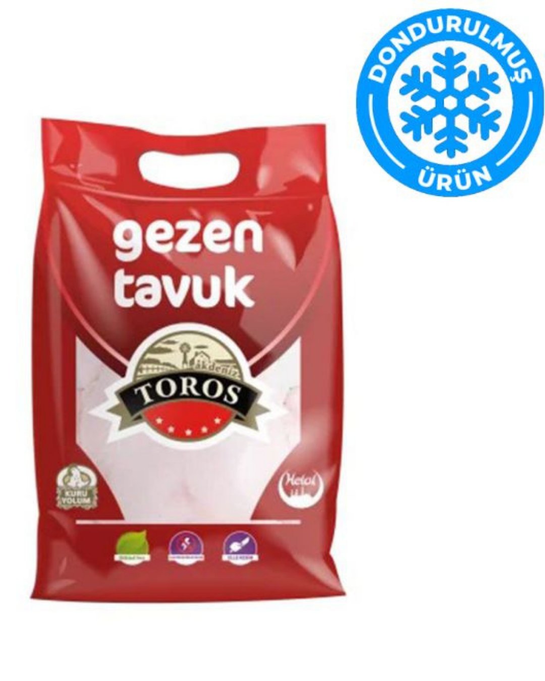 BÜTÜN GEZEN TAVUK 