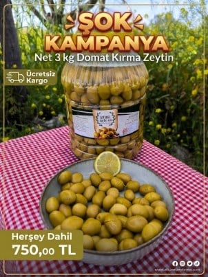 5 LT BİDON DOMAT KIRMA ZEYTİN KAMPANYASI