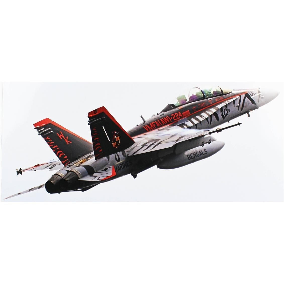 Hasegawa 7545 1/48 Ölçek, F/A-18 D Hornet -VMFA(AW)-224 Bengals 2024, Savaş Uçağı Plastik Model Kiti