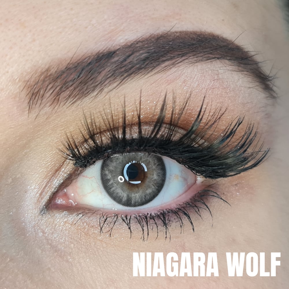 FXEYES ÜÇ AYLIK LENSLER NİAGARA WOLF KOYU GRİ