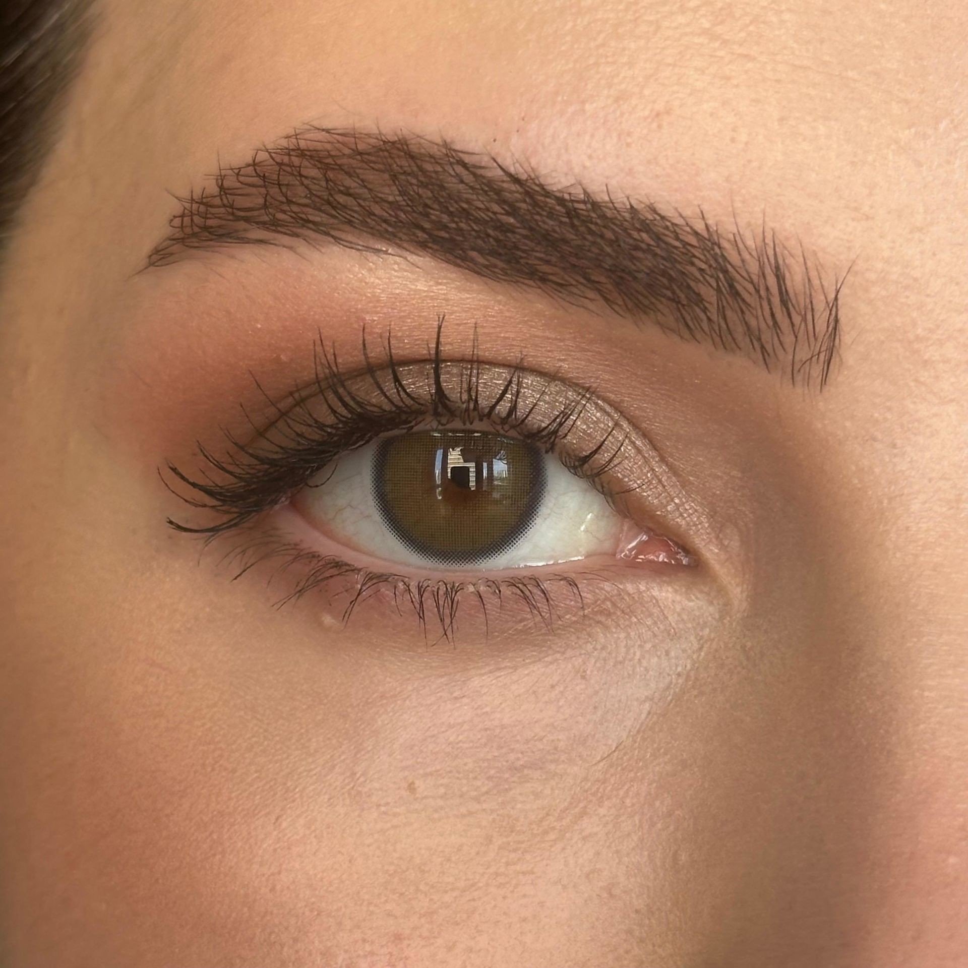 HYPNOSE 1 YILLIK LENSLER NEALA GREEN