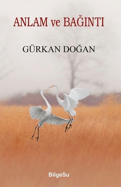 Anlam ve Bağıntı