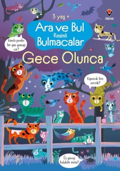 Ara ve Bul Resimli Bulmacalar - Gece Olunca