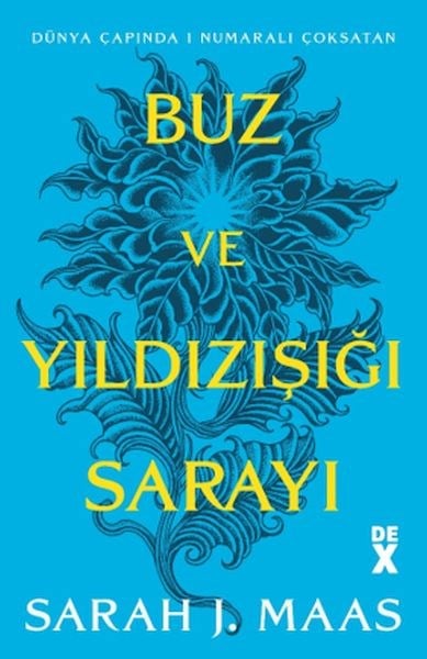 Buz ve Yıldızışığı Sarayı