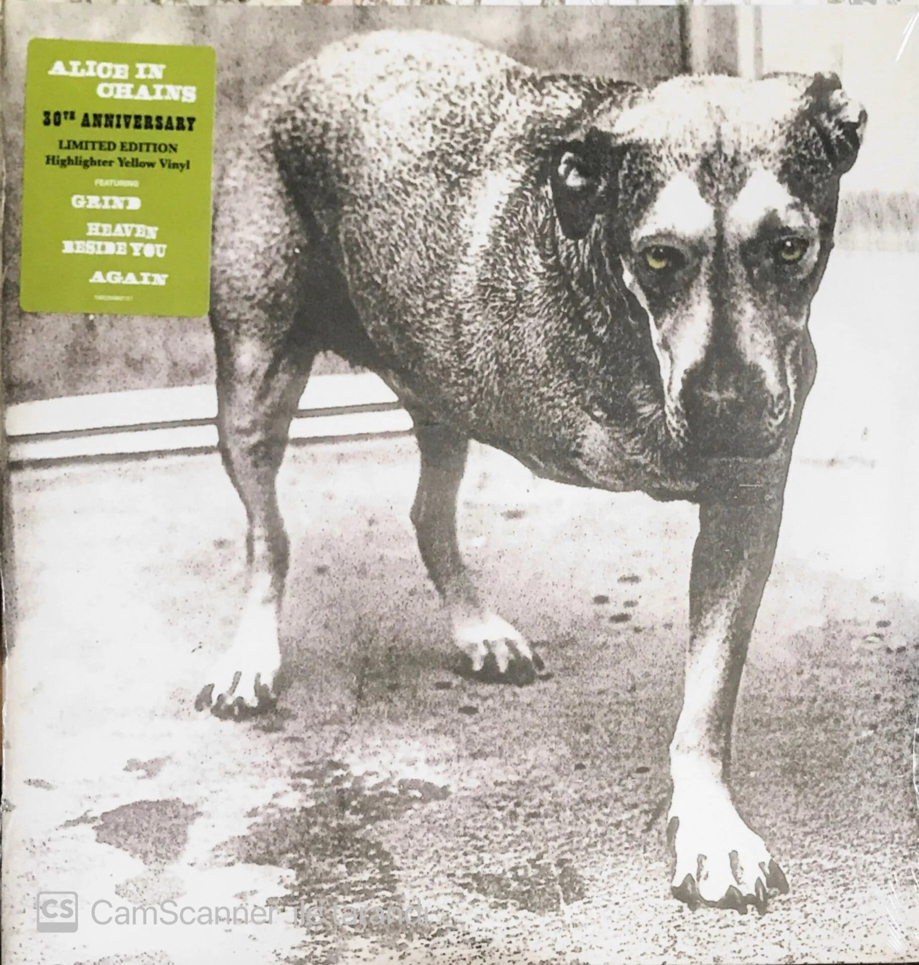 Alice In Chains – Alice In Chains Plak | 30th Anniversary Highlighter Yellow 2LP