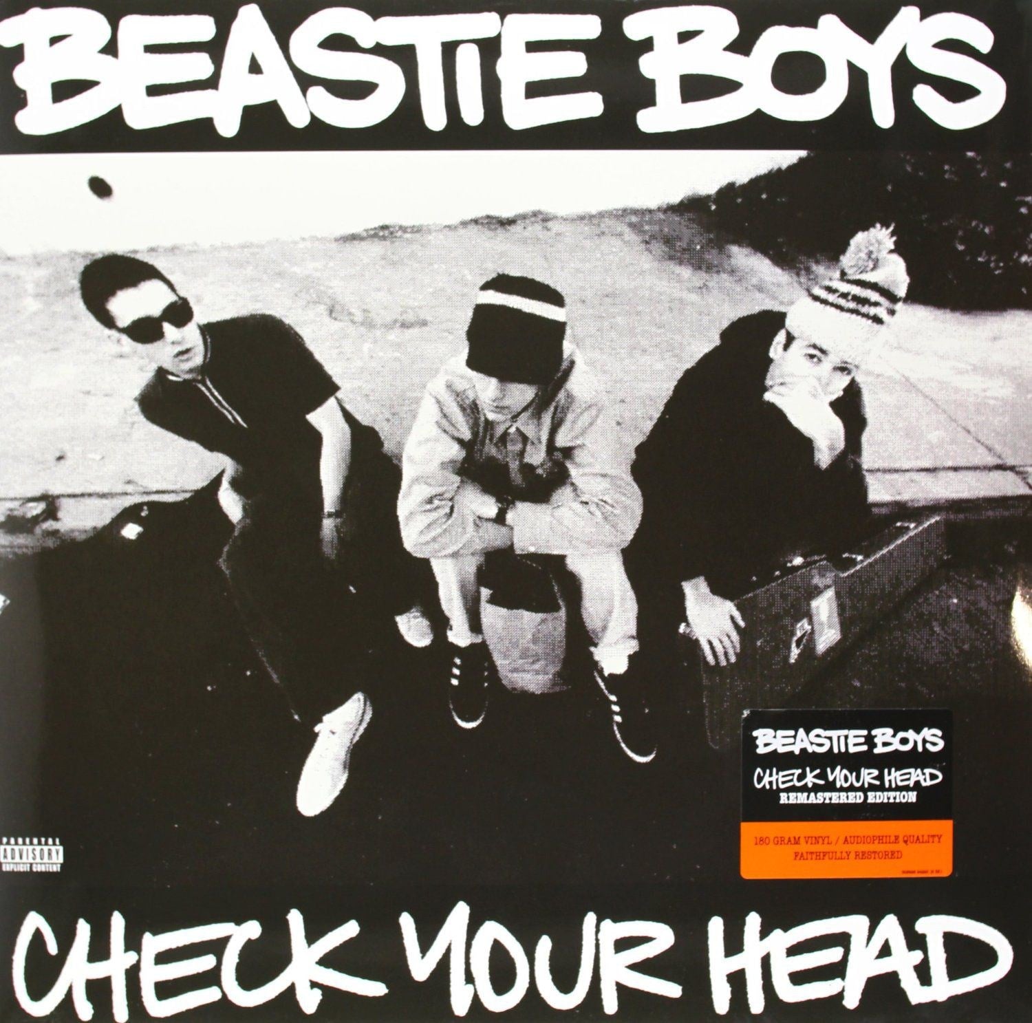 Beastie Boys - Check Your Head - Plak LP