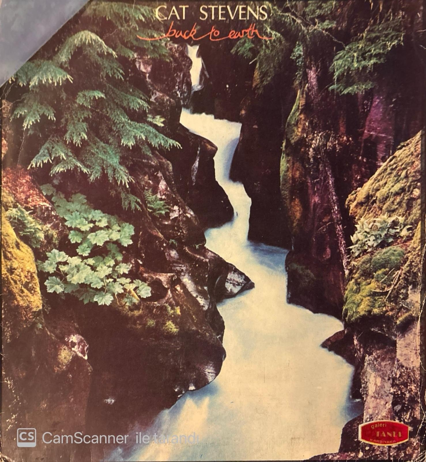 Cat Stevens – Back to Earth Plak LP