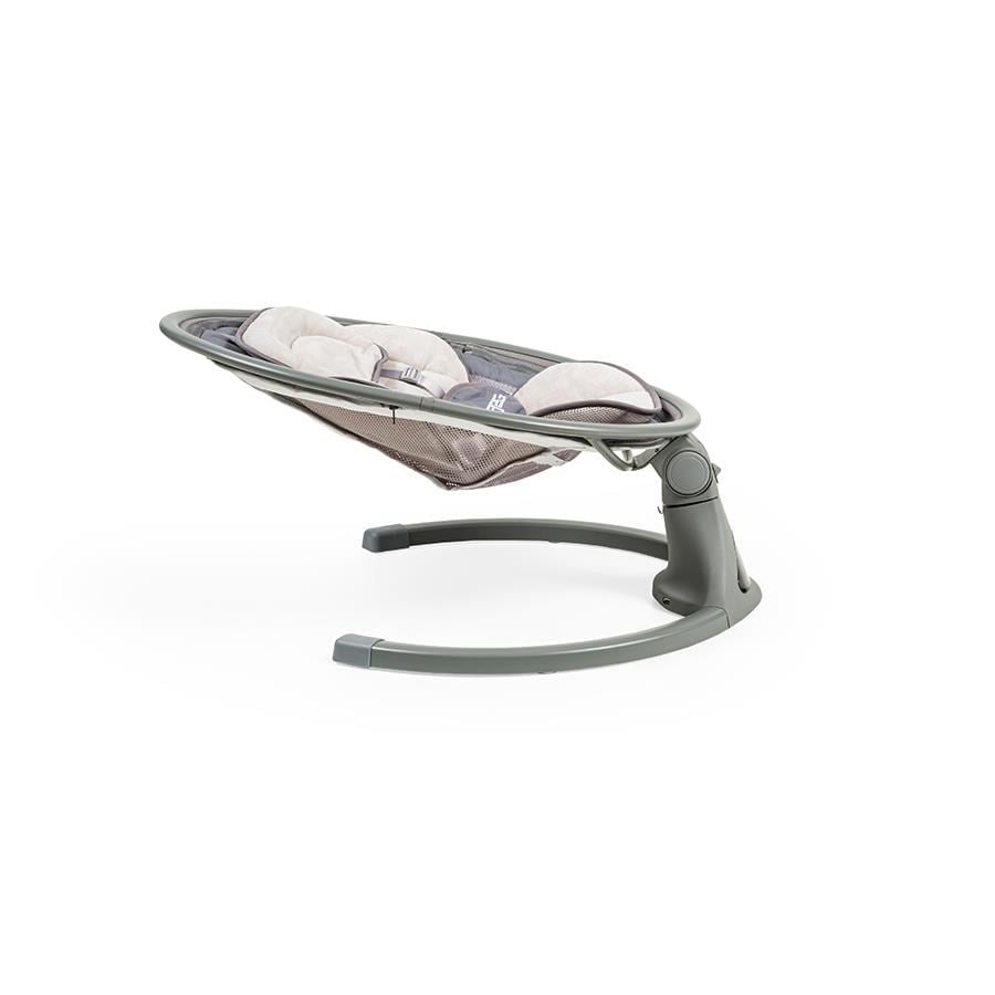 2556 Turtle Ana Dizi