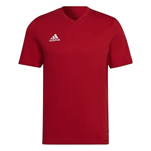 adidas Erkek ent22 Tee T-Shirt