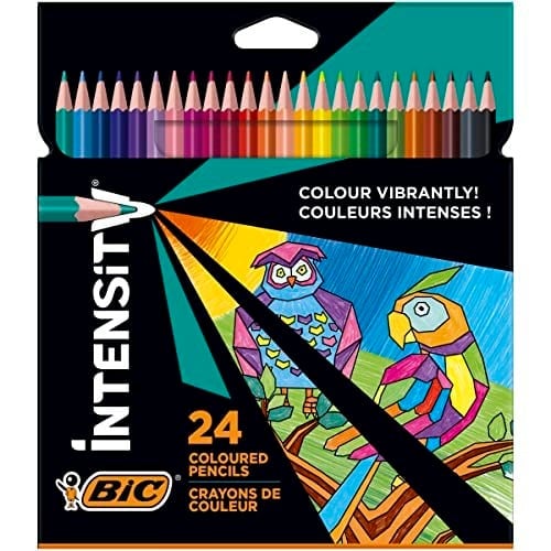 BIC Color Up Üçgen Kuru Boya Kalemi, 24'lü Kutu