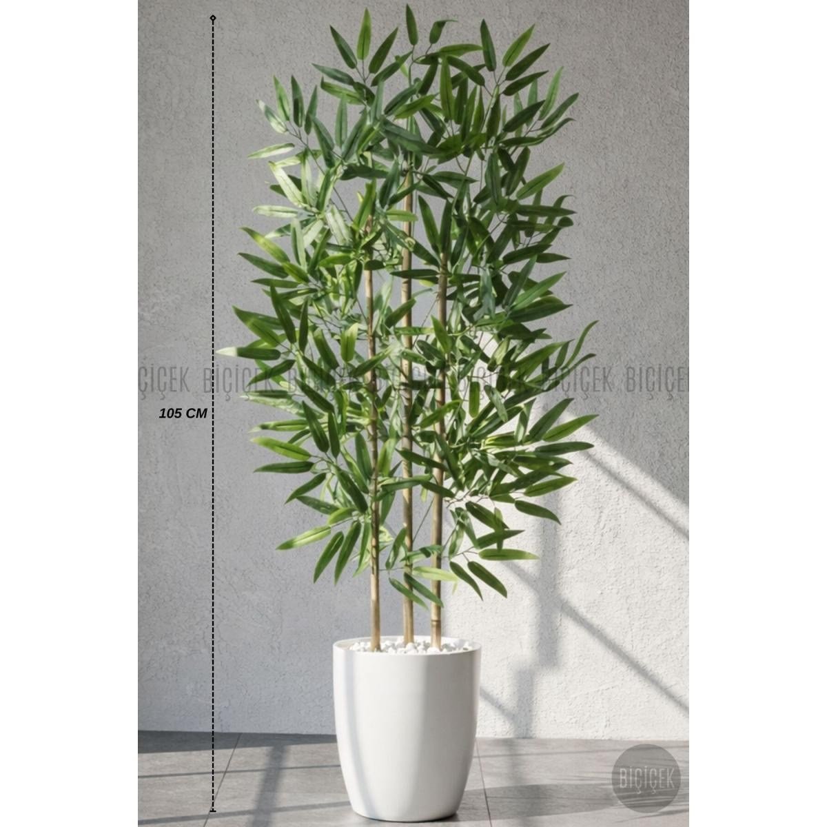 Biçiçek 110 Cm Bambu Ağacı Yakut Saksıda Bej