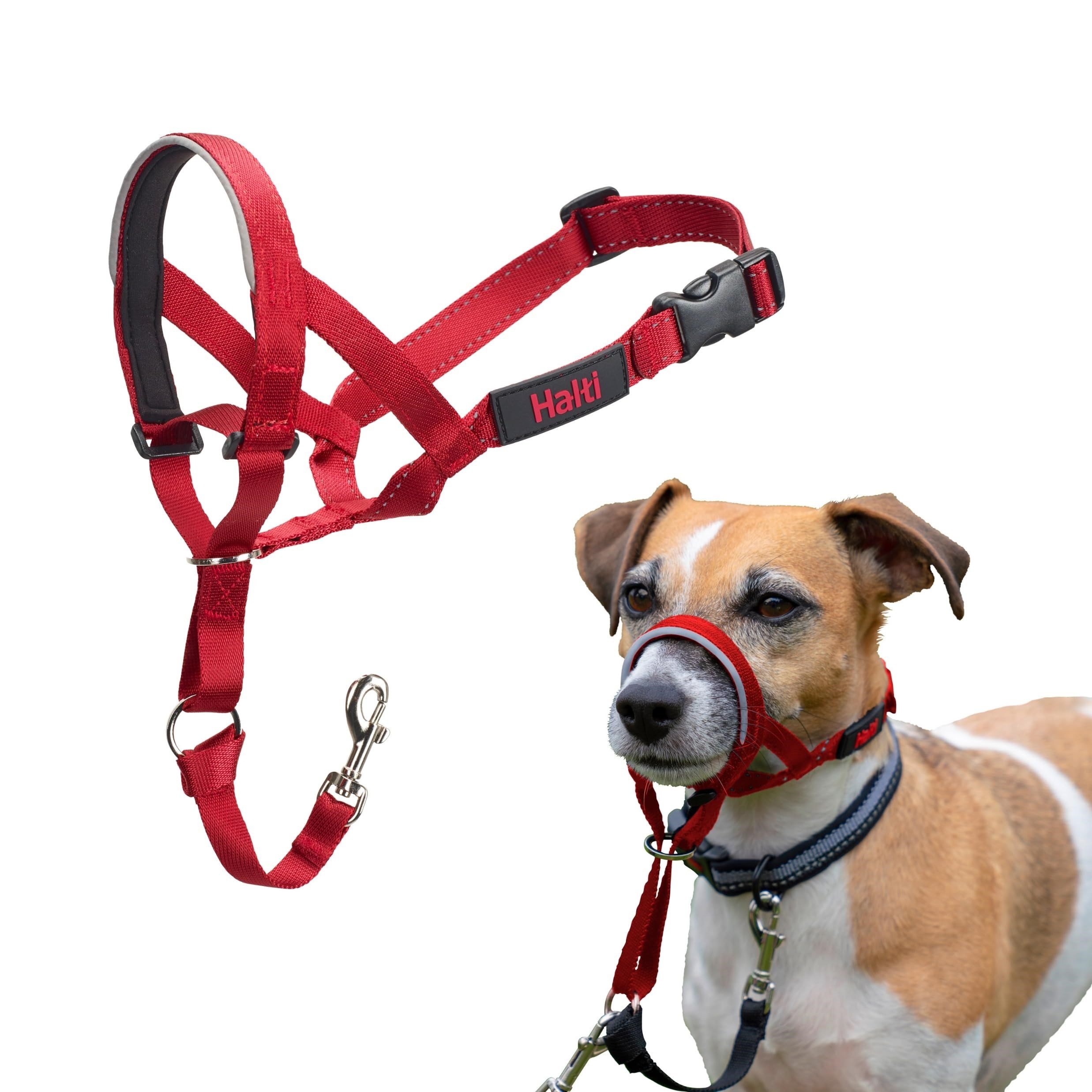 Company of Animals Halti Baş Tasması - Dolgulu Burun Bandı, Ayarlanabilir ve Yansıtıcı, Küçük Köpekler İçin Profesyonel Çekme Önleyici Eğitim Yardımcısı (Boyut - Seçenekler: 0 (2 paketi), 1 (2 paketi)