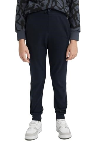 DeFacto Regular Fit Pantolon
