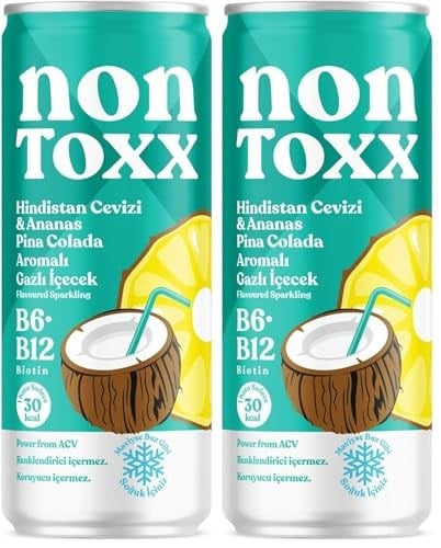 Fersan Nontoxx Hindistan Cevizi Ananas Sirkeli Gazlı İçecek 250 ml 2li paket