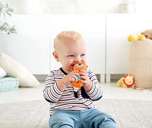 Fisher Price Eğlenceli Arkadaşlar Dişlik ve Çıngıraklar, Su Samuru FXC21