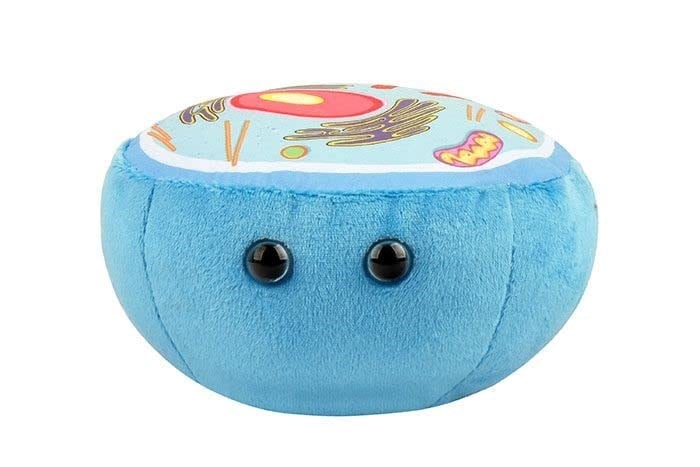 GIANTmicrobes Hayvan Hücresi Peluş, Hayvan Hücresi Modeli, Biyoloji Modeli, Biyoloji Hediyeleri, Bilim Sınıfı Dekoru, Fen Öğretmeni Hediyeleri, Hücre Biyolojisi, Biyoloji Doldurulmuş Hayvanlar