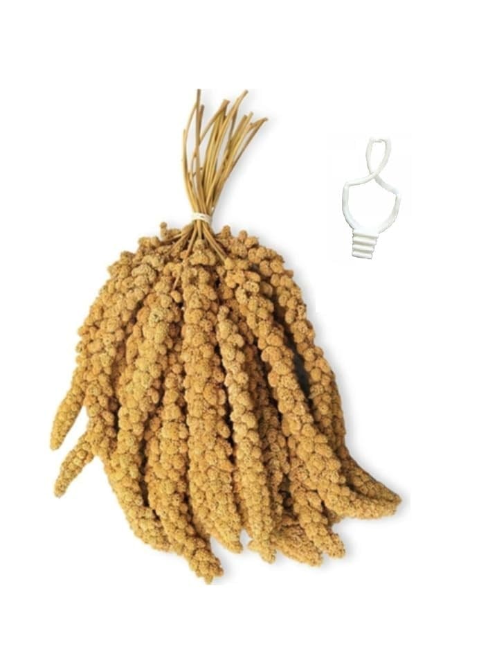 İri Boy Ak Dal Darı 250 gr + Tutacak