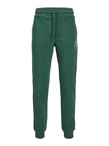 JACK & JONES JPSTGORDON JJSWIFT SWEAT PANTS Pantolon Erkek