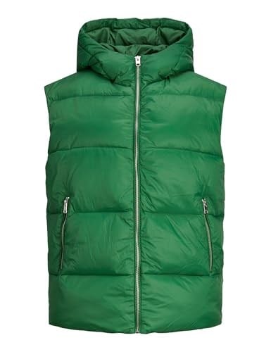 JJXX JJXX JXBILLIE PUFFER VEST OTW SN Mont Kadın