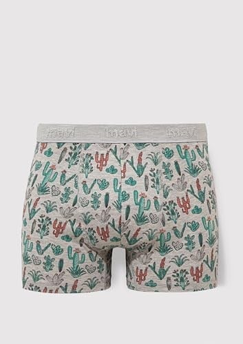 Kaktüs Desenli Gri Boxer 091122-23854
