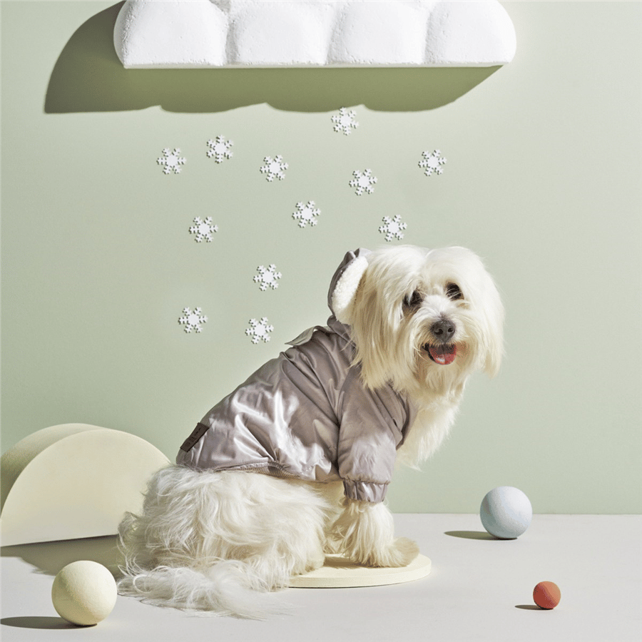 Karaca Home X Pati Buffy Köpek Mont 2XL Beden
