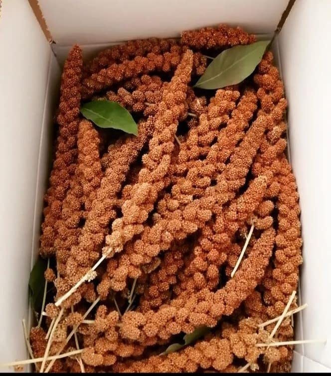 Kızıl Dal Darı 150 Gr Taze Yeni Mahsül