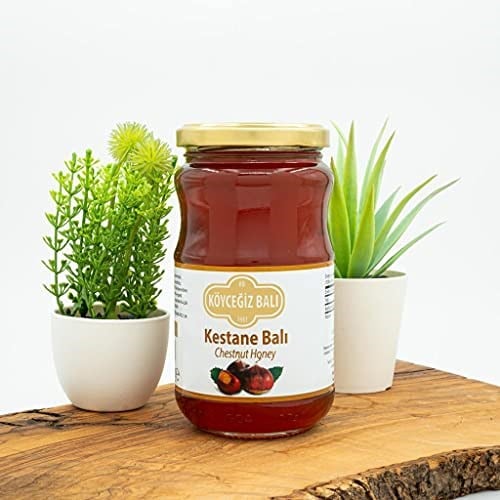 Köyceğiz Balı Kestane Balı 450 G Cam Kavanoz