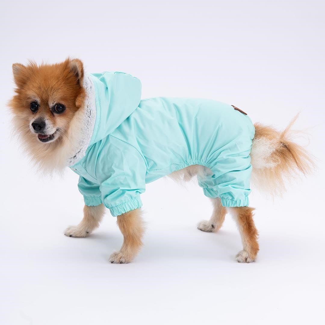 Mint Kürklü Tulum Yağmurluk Küçük Irk Yağmurluk Köpek Kıyafeti Köpek Yağmurluğu M