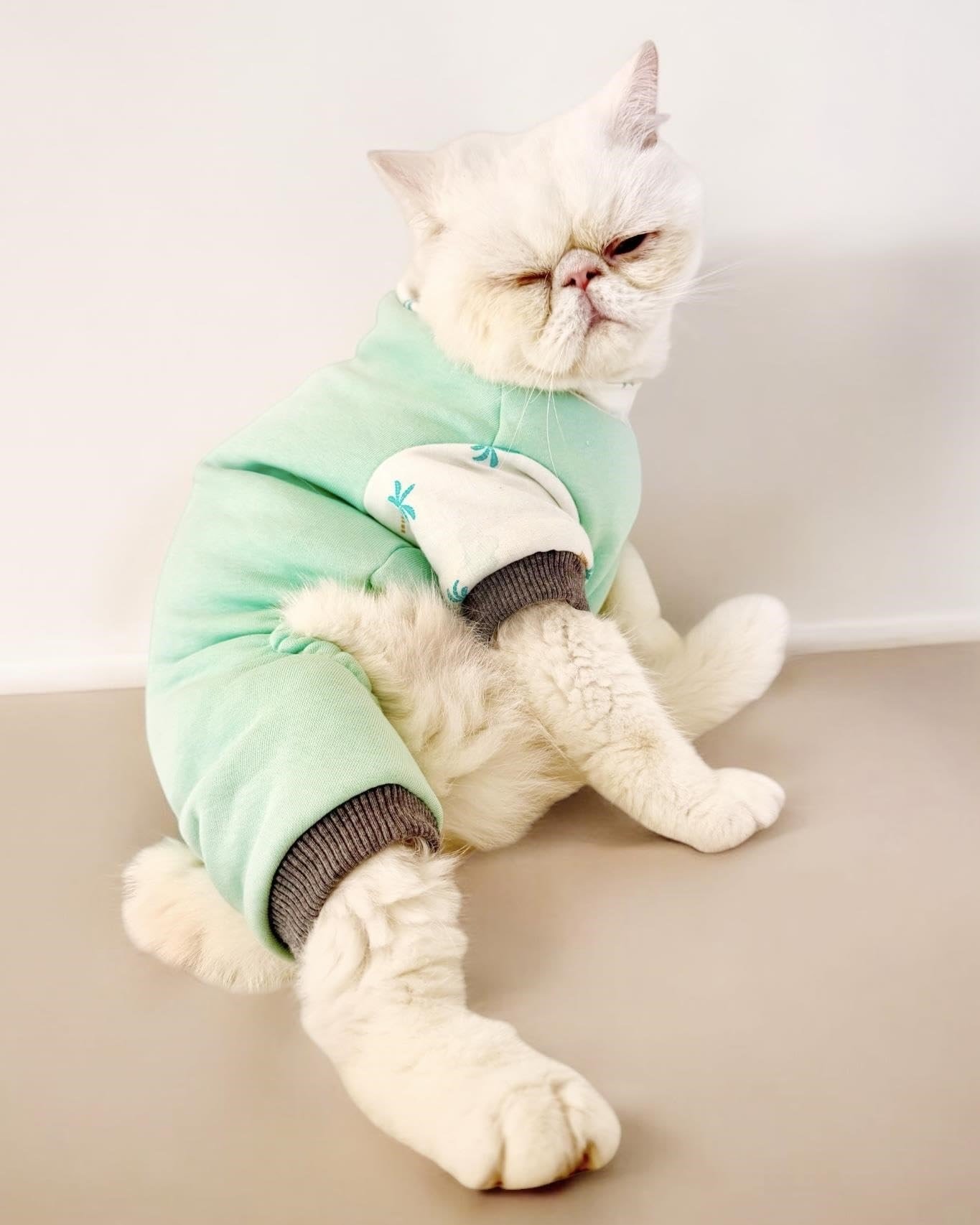 Minty Palm Kalın Penye Kedi Tulum Pijama L