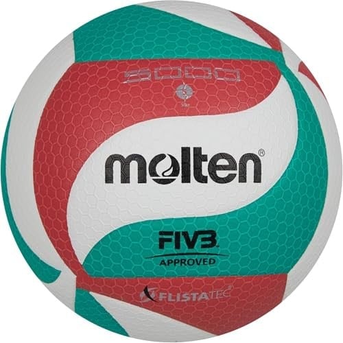Molten Volleyball