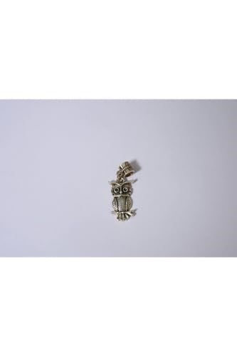 Pandora, Charm Bileklik Uyumlu, Gümüş, Charm takıNM250