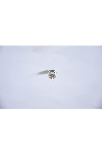 Pandora, Charm Bileklik Uyumlu, Gümüş, Charm takıNM157