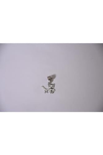 Pandora, Charm Bileklik Uyumlu, Gümüş, Charm takıNM271