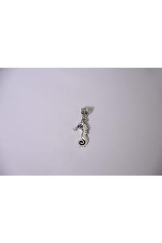Pandora, Charm Bileklik Uyumlu, Gümüş, Charm takıNM207