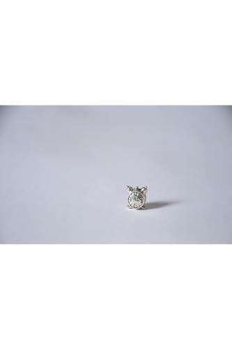 Pandora, Charm Bileklik Uyumlu, Gümüş, Charm takıNM225