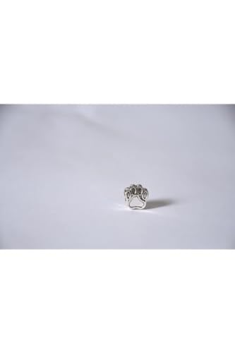 Pandora, Charm Bileklik Uyumlu, Gümüş, Charm takıNM254