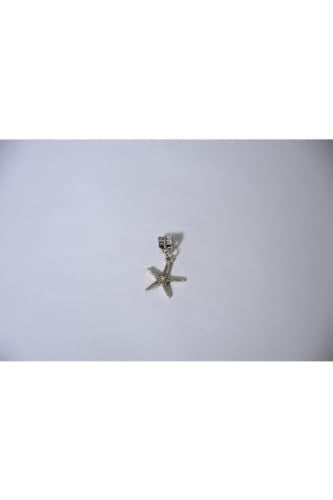 Pandora, Charm Bileklik Uyumlu, Gümüş, Charm takıNM151