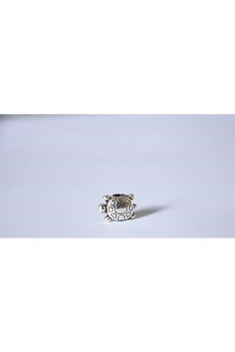 Pandora, Charm Bileklik Uyumlu, Gümüş, Charm takıNM283