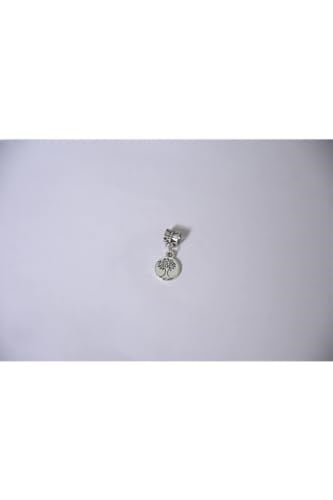 Pandora, Charm Bileklik Uyumlu, Gümüş, Charm takıNM163