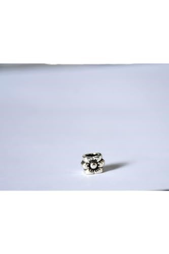Pandora, Charm Bileklik Uyumlu, Gümüş, Charm takıNM278