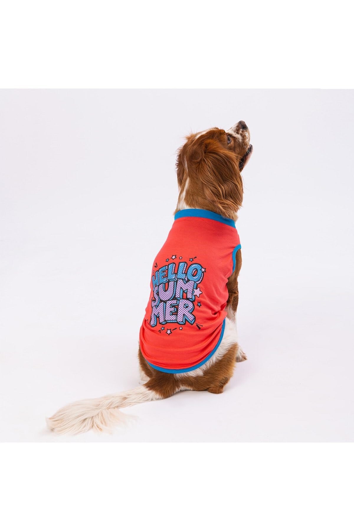 Pawstar Nar Çiçeği Hello Summer Kedi Köpek Tişörtü - Kedi Köpek Kıyafeti Nar Çiçeği L