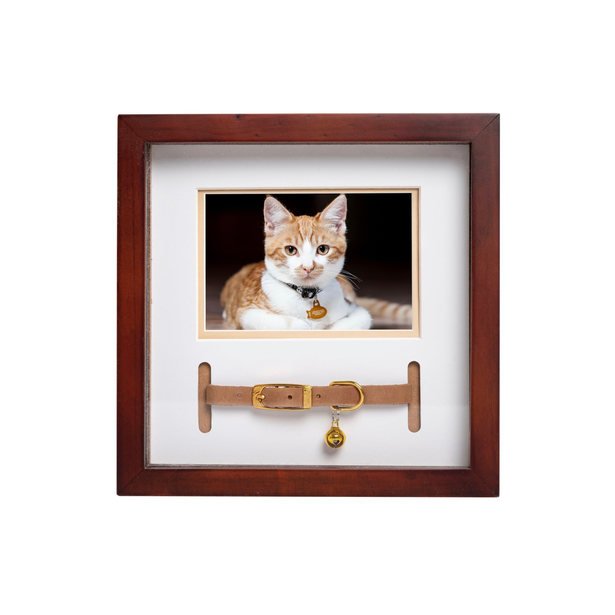 Pearhead Pet Yaka Hatıra Çerçevesi, Evcil Hayvan Anıtı Resim Çerçevesi, Evcil Hayvan Sahibi Ev Dekoru, Kedi veya Köpek Hatırası, 3 