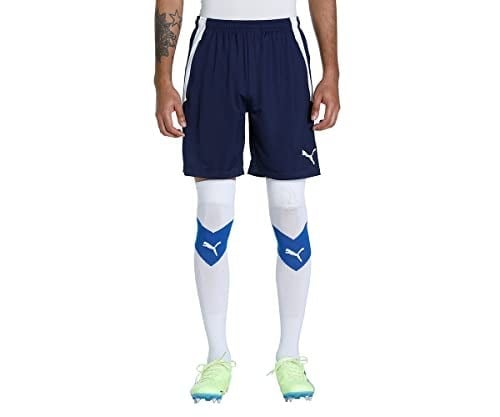 Puma TeamLiga Training Football Erkek Şort
